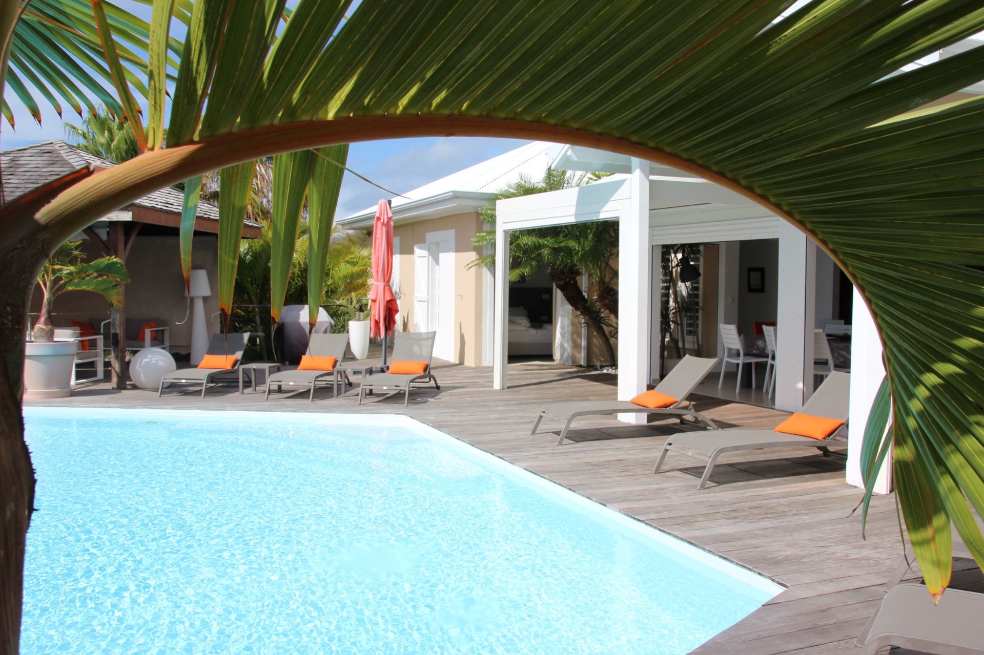 Piscine et transats sous les palmes