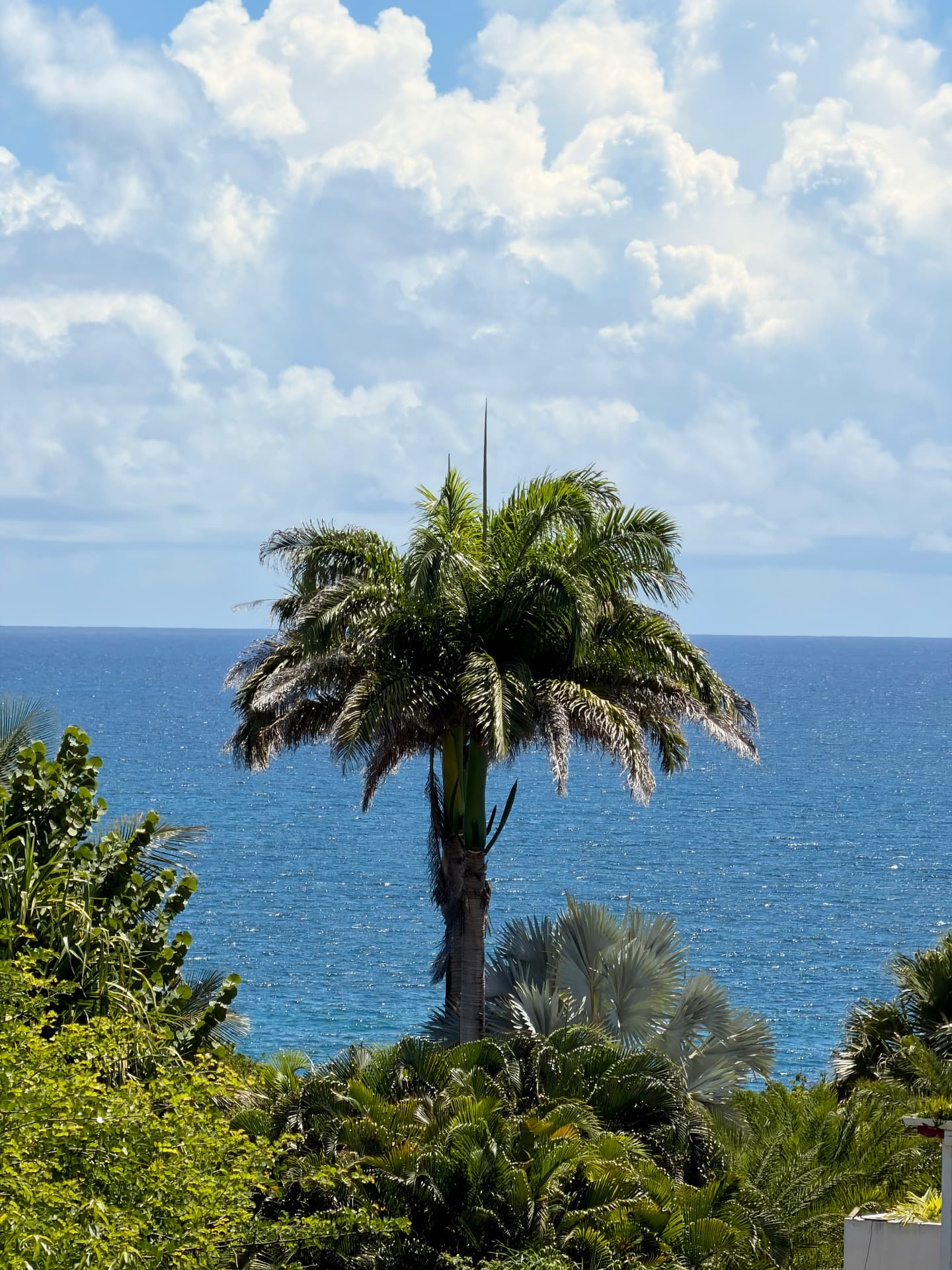 Vue mer depuis la villa