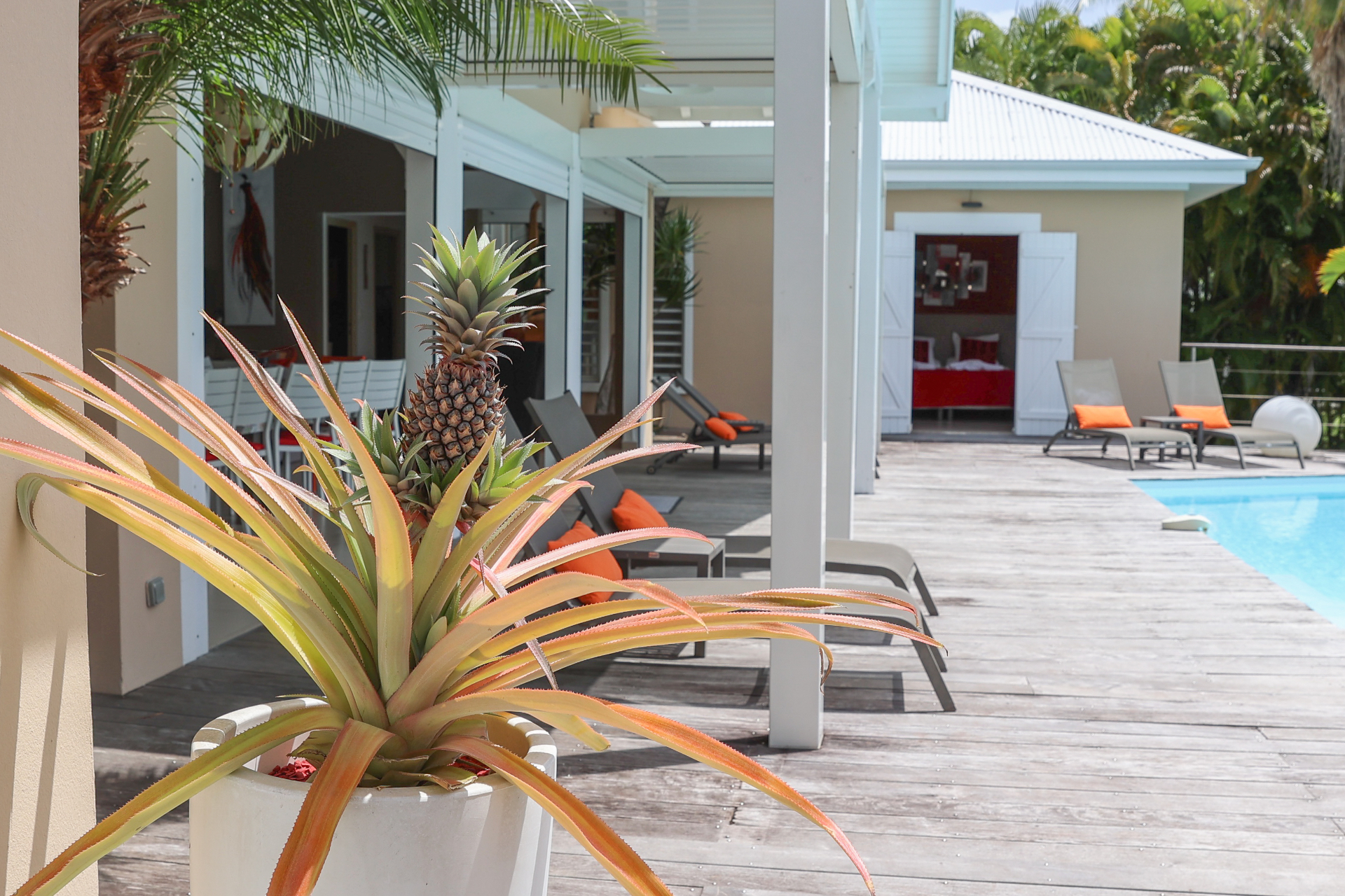 Terrasse piscine et ananas décoratif