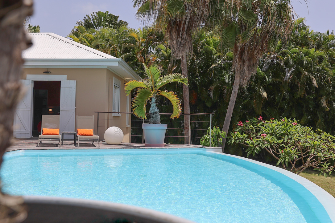 Piscine, bungalow et frangipanier en fleurs